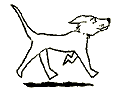 Hund-005[1].gif (4627 bytes)