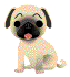 Hund-006[1].gif (5800 bytes)