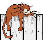 Katze-021.gif (8958 bytes)