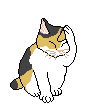 Katze-023.gif (5003 bytes)