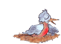 Vogel-015.gif (63481 bytes)