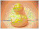Vogel-017.gif (35839 bytes)
