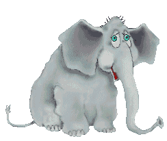 Wildtier-023.gif (51931 bytes)