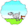 asheep[1].gif (16402 bytes)