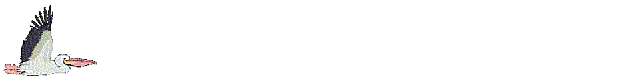 pel_fly.gif (27818 bytes)