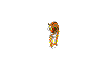 tiger.gif (33267 bytes)